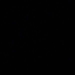 Meet your Posher, Jack